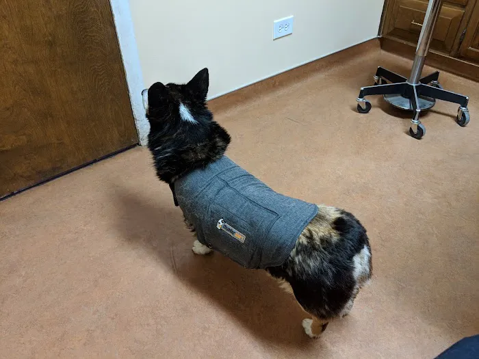 Eye Clinic Veterinary 1