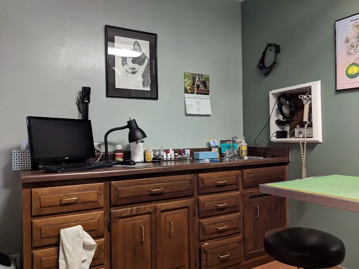 Eye Clinic Veterinary 2