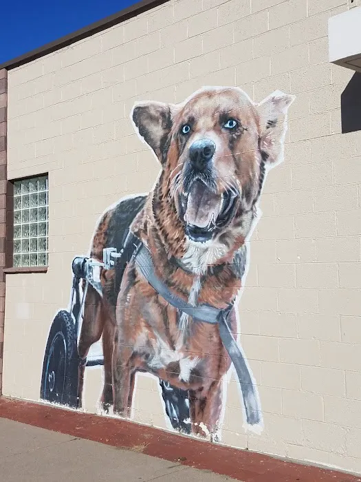 MaxFund Veterinary Clinic 3