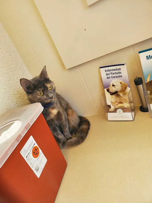 MaxFund Veterinary Clinic 1