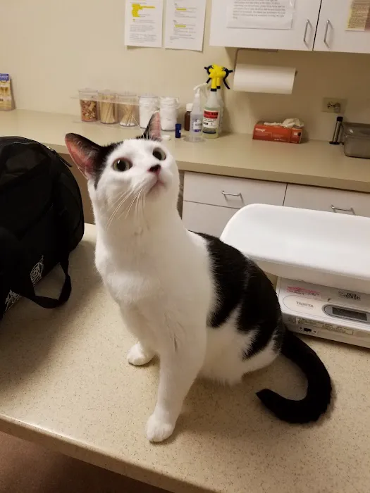 MaxFund Veterinary Clinic 9