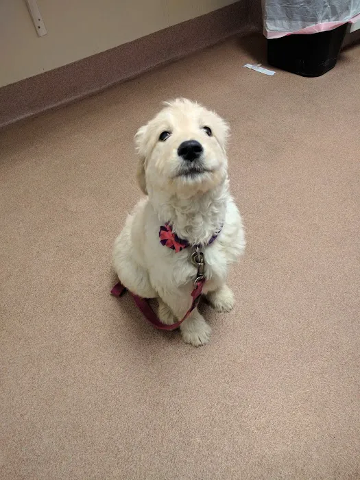 MaxFund Veterinary Clinic 8