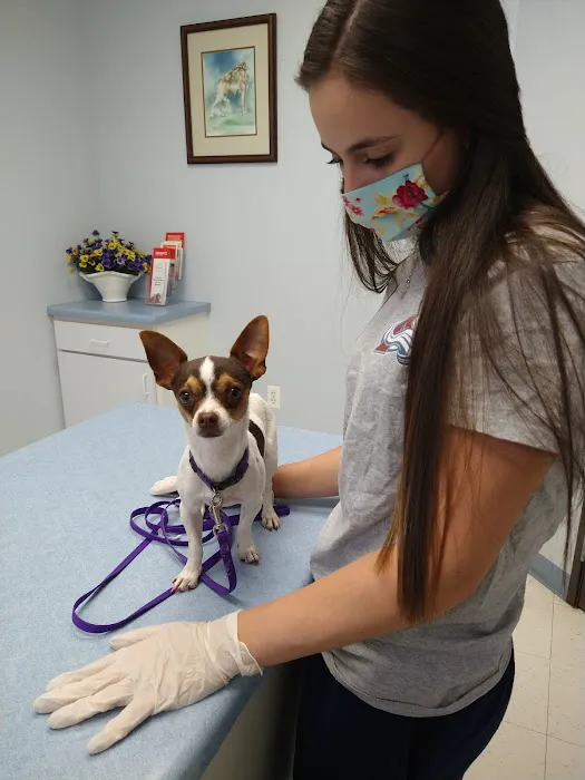 North Denver Animal Clinic 2