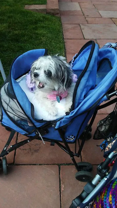 Peace, Love & Paws 12