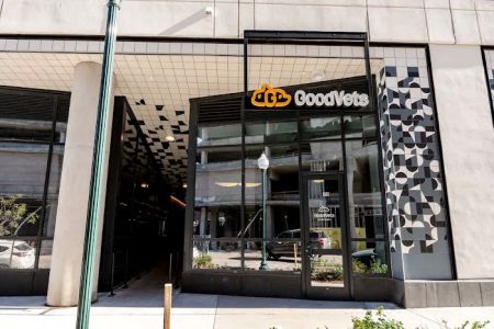 GoodVets Golden Triangle