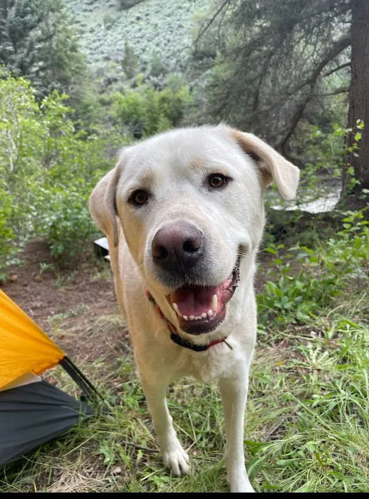 GoodVets Golden Triangle 12