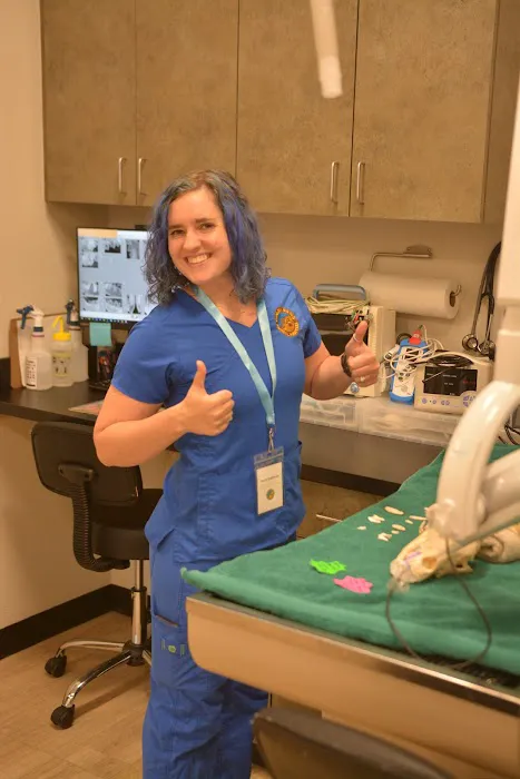 Golden Paws Animal Hospital 7