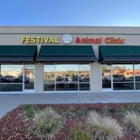 Festival Animal Clinic ico