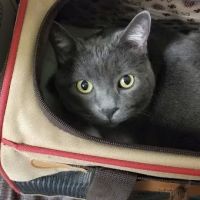 Highlands Ranch Animal Clinic ico