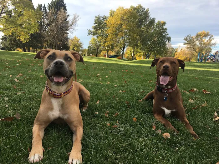 Highlands Ranch Animal Clinic 12