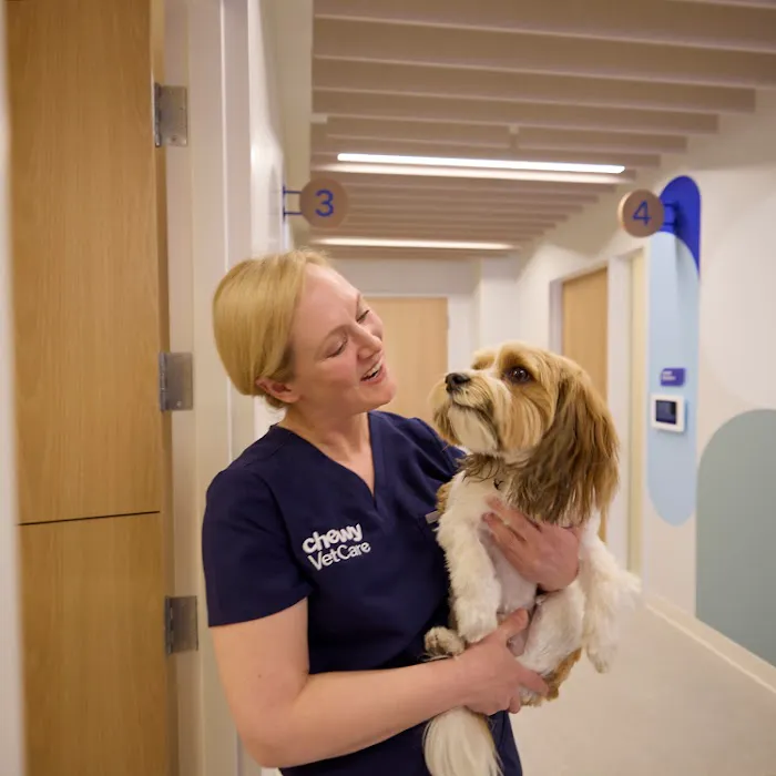 Chewy Vet Care Highlands Ranch 12