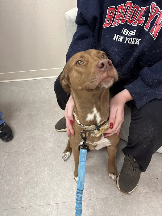 Chewy Vet Care Highlands Ranch 12