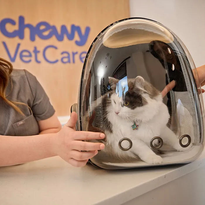 Chewy Vet Care Highlands Ranch 12