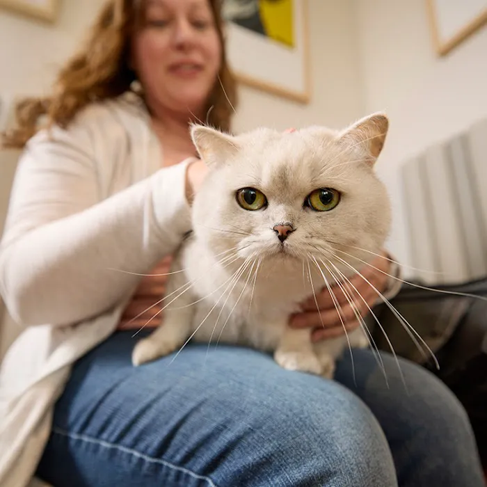 Chewy Vet Care Highlands Ranch 12