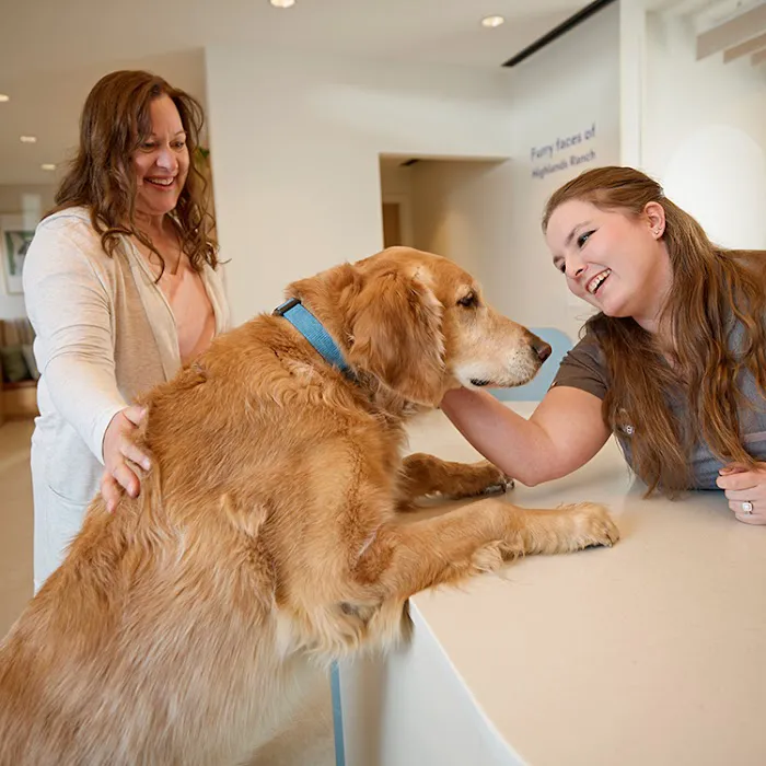 Chewy Vet Care Highlands Ranch 12