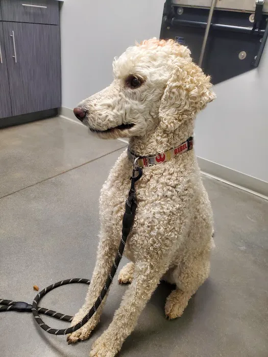 Altitude Animal Hospital 6