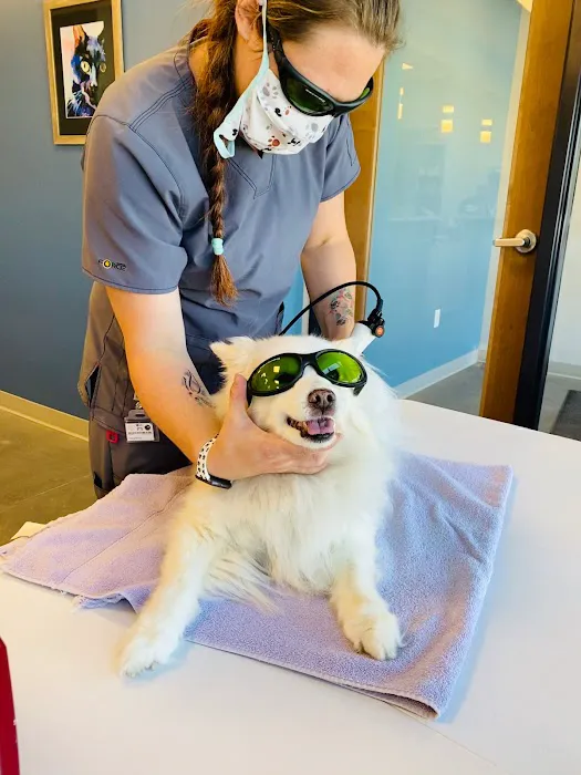 Altitude Animal Hospital 8