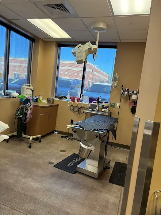 SouthPark Animal Clinic 12