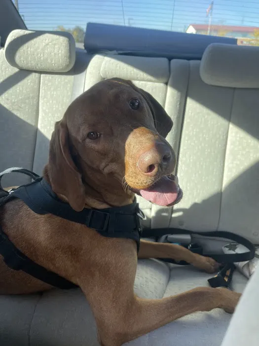 CityVet | Highlands Ranch + Urgent Care 2