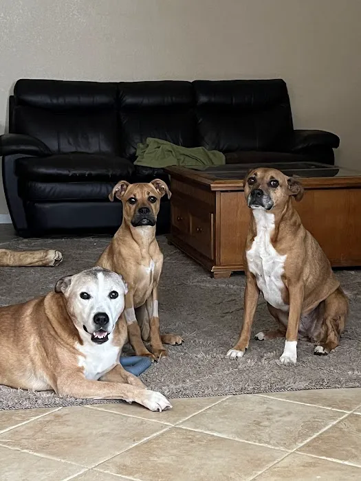 CityVet | Highlands Ranch + Urgent Care 3
