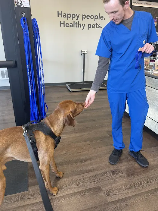 CityVet | Highlands Ranch + Urgent Care 4