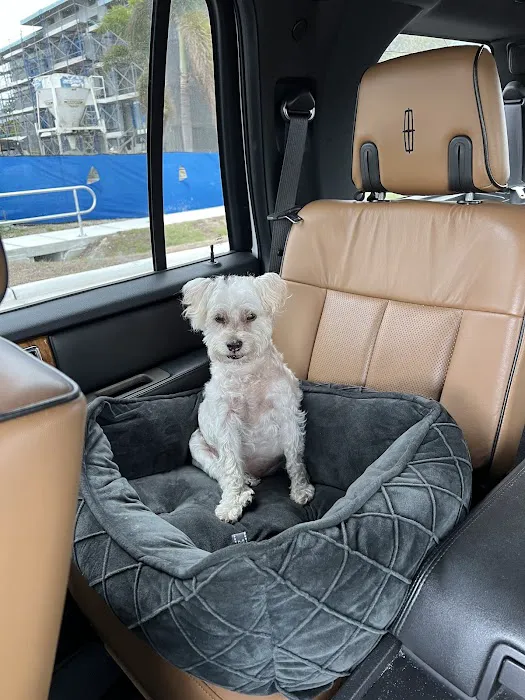 CityVet | Highlands Ranch + Urgent Care 9