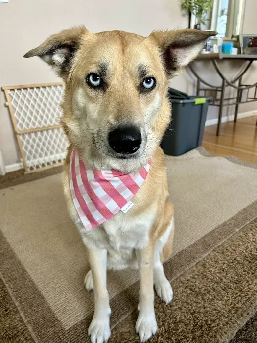 Rocky Mountain Small Animal Hospital 3