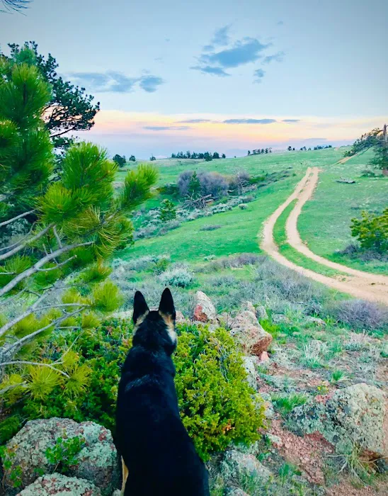 Rocky Mountain Small Animal Hospital 8