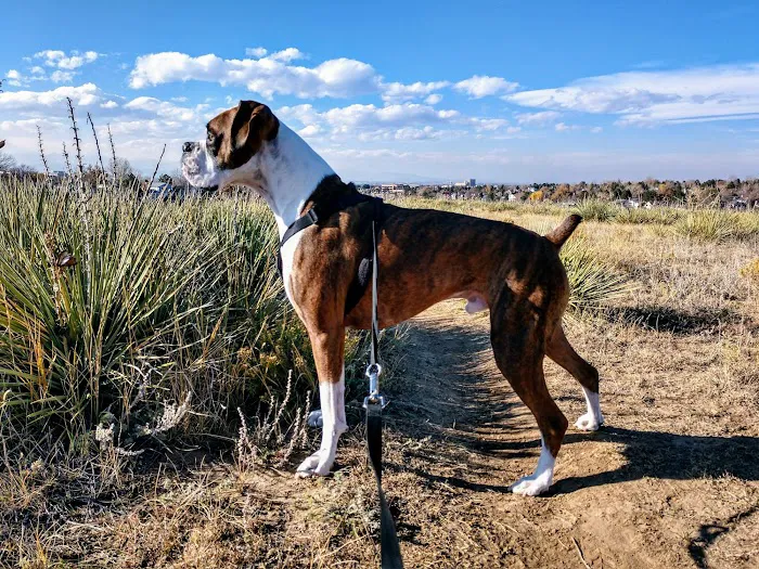 Rocky Mountain Small Animal Hospital 4