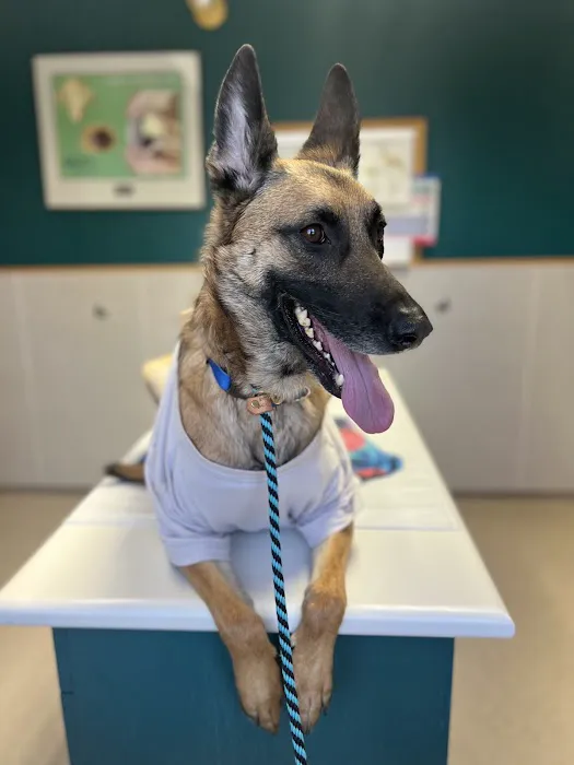 Rocky Mountain Small Animal Hospital 10