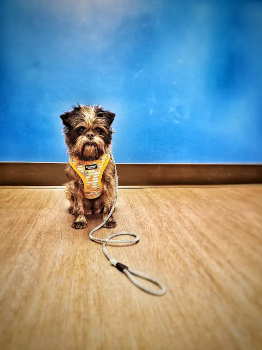 Nelson Animal Hospital 1