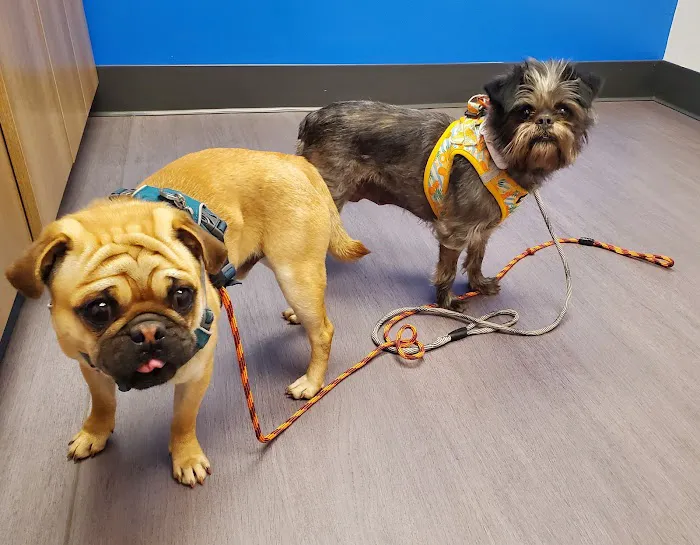 Nelson Animal Hospital 4