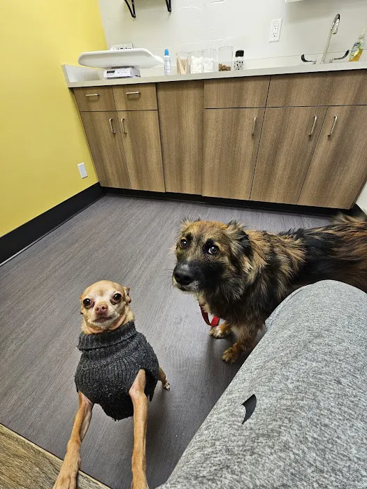 Nelson Animal Hospital 6