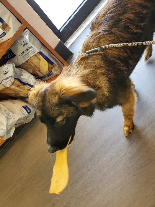 Nelson Animal Hospital 2