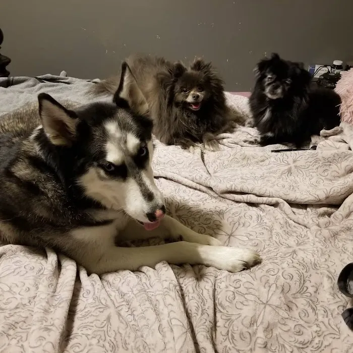 Nelson Animal Hospital 9
