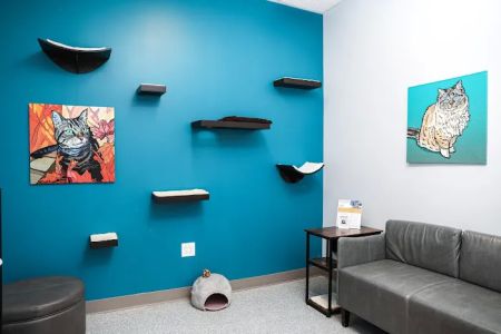 PetVet365 Pet Hospital Denver - Highlands Ranch / Alpenview