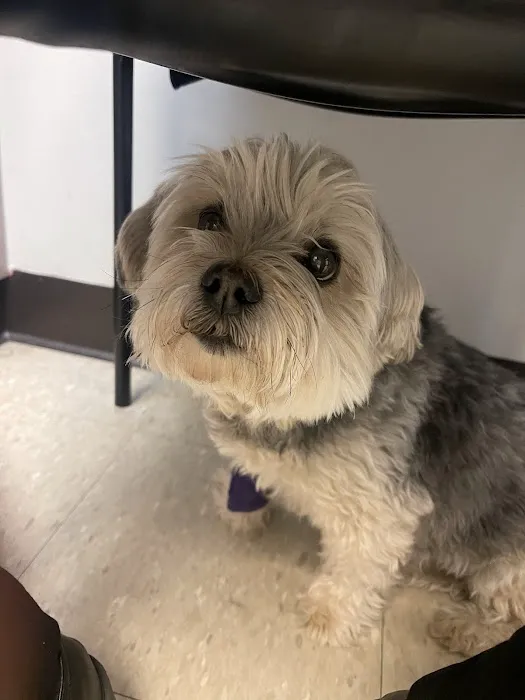 PetVet365 Pet Hospital Denver - Highlands Ranch / Alpenview 6