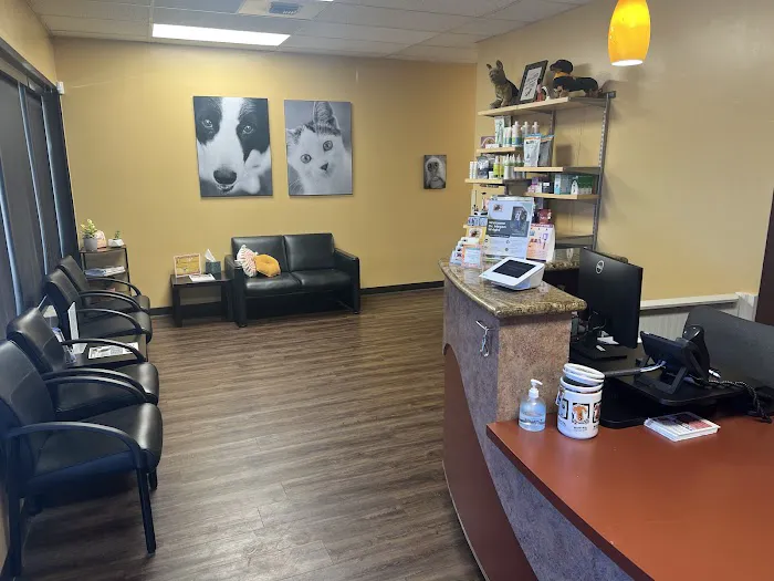 Companion Animal Veterinary Hospital 4