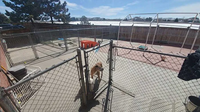 VCA Mountainview Animal Hospital & Pet Lodge 12