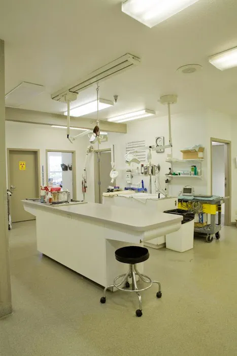 VCA Mountainview Animal Hospital & Pet Lodge 12