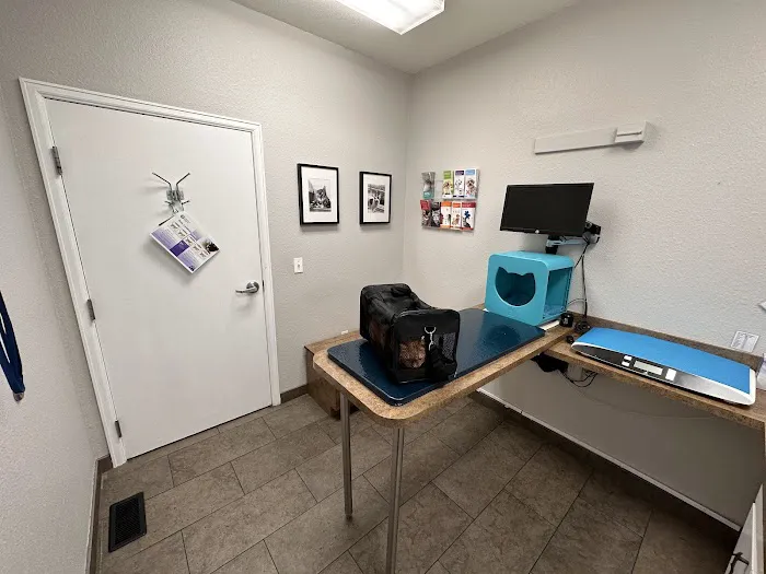 VCA Mountainview Animal Hospital & Pet Lodge 12