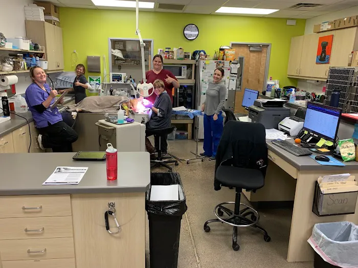 Vetco Total Care Animal Hospital 12