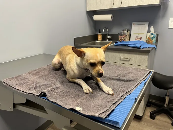 Inspire Animal Hospital 3