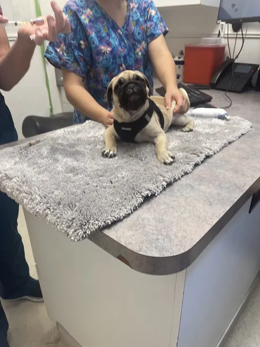 Banfield Pet Hospital 1