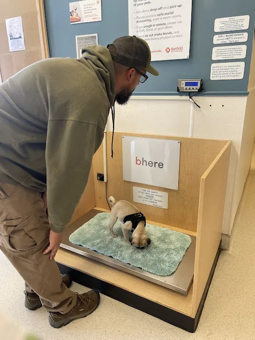 Banfield Pet Hospital 5