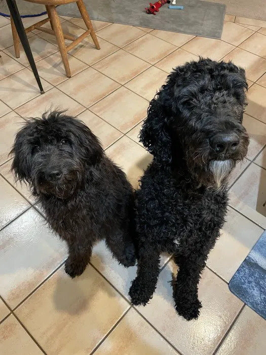 Banfield Pet Hospital 7