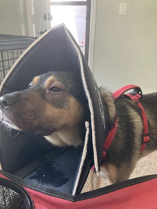 Banfield Pet Hospital 12