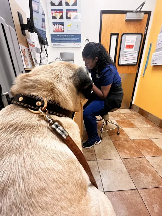 Banfield Pet Hospital 12
