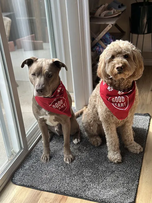 Goodheart Animal Health Center 8