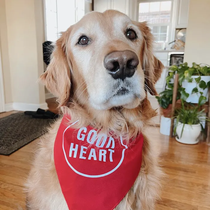 Goodheart Animal Health Center 10